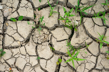 cracked earth in the ground climate change