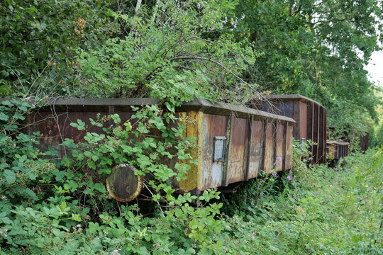 Alte Eisenbahnwaggons auf stillgelegter Bahnstrecke