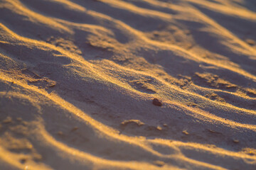 closeup sandy desert dune, beautiful natural sand background