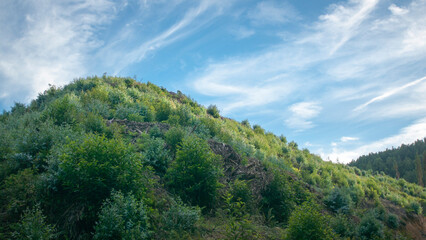 Fototapeta na wymiar Monte verde boscoso bajo cielo azul