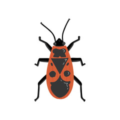 firebug, bedbug soldier. Vector Illustration for printing, backgrounds, covers and packaging. Image can be used for greeting cards, posters, stickers and textile. Isolated on white background.