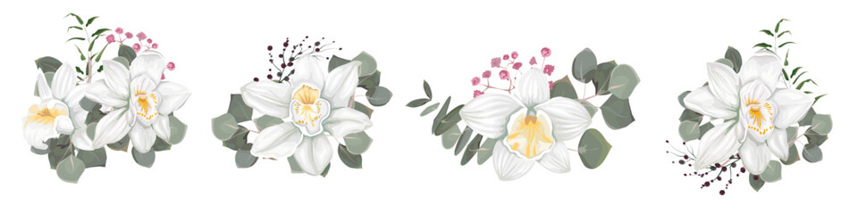 Vector composition of flowers and plants on white background. White orchids, pink gypsophila, eucalyptus, green plants and leaves . Vector illustration