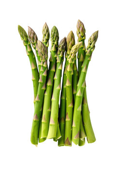 Top view of bunch of green asparagus on cutout PNG transparent background. Generative AI