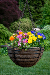 Hanging Basket