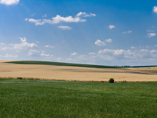 Obraz premium hay bales in a field