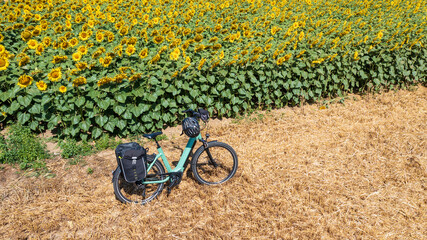 Promenade en vélo électrique dans la campagne, en bordure de champ de tournesol. - obrazy, fototapety, plakaty
