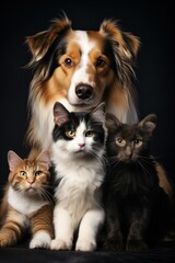 vertical cute cats and dogs on a plain dark black background