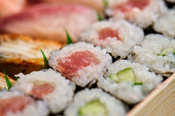 Selection of varied nigiri and maki. Kappa Maki and Tuna Roll. Japanese sushi.