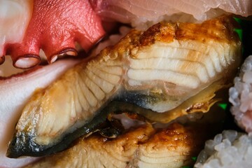 Eel nigiri on a selection of varied Japanese sushi with octopus, yellowtail, tuna maki.