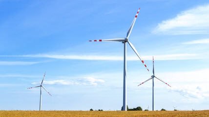 Fototapeta premium Green energy production using wind turbines placed on a wheat field against the sky