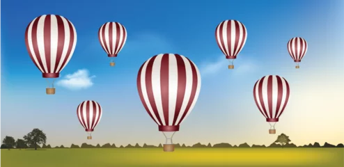 Rolgordijnen Luchtballon hot air balloon in sky