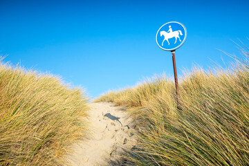 horse riding path on dunes