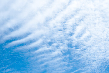 Obraz premium Cirrus clouds in the sky. Nature skyscape.