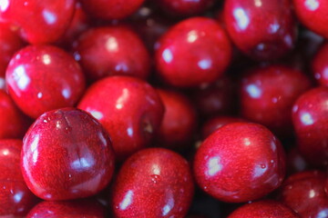 Ripe juicy cherries seen up close