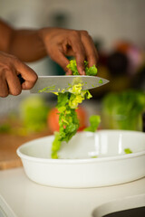 woman hands using knife to cut vegetables