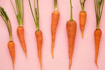 Baby carrots on pink background. Flat lay photo - obrazy, fototapety, plakaty