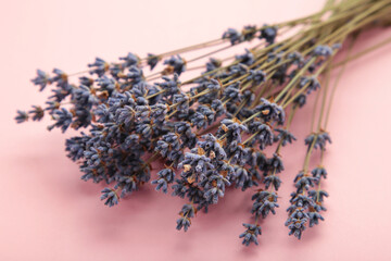 Small bouquet of a dried lavender on pink background.