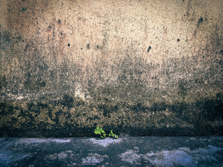 Texture of concrete cement grunge background