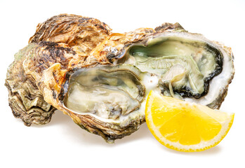 Raw oysters with lemon slice isolated on white background. © Екатерина Иванова