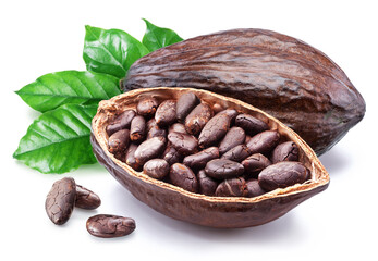 Dried cocoa beans in the half of cocoa pod isolated on white background.