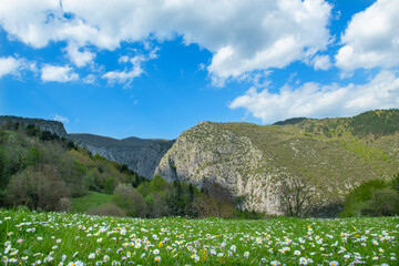 Fototapeta na wymiar White clouds on the bright blue sky. Blooming flowers in spring background with white clouds on blue sky. Iznik Bolu Türkiye. 