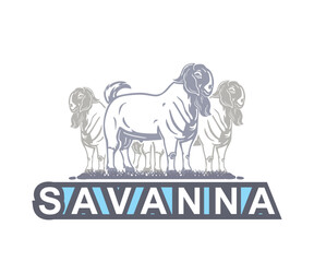 SAVANNA GOAT FARM LOGO, silhouette of great ram standing. this image is perfect for your company branding as mascot of your farm, banner , wallpaper icon etc