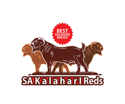 KALAHARI BREEDING FARM LOGO, silhouette of healthy ram standing vector illustrations, this image is perfect for company logo, breeding goat, goat meat farm or as banner ram ranch etc