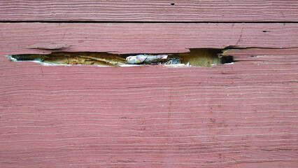Damaged by termite on old wooden wall background, termite treatment, house damage