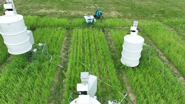 Science station scientific aerial drone measurement respiration wheat common agriculture field Triticum aestivum soil scientist working technology work earth technological monitoring carbon oxygen