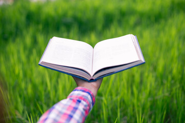 Happy woman lying on green grass reading a book in the park (outdoors) SSTKHome