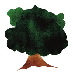 leaf on white background