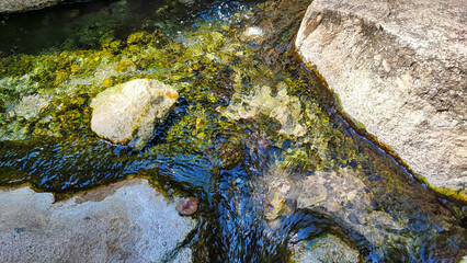 The hot waterfall, big rock with the green algae.
