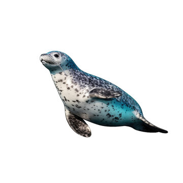Leopard seal transparent background, png
