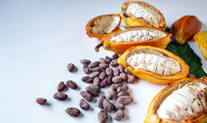 Close-up of half-ripe cacao pods and white cocoa seed with dry brown cocoa beans and green cocoa leaf