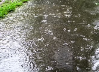 Heavy rain in the Park. Puddles on the sidewalk. Heavy raindrops fall into a puddle on the pavement.  Bubbles on the water from the summer rain. 