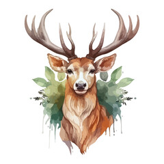 Deer against the background of the forest, Wildlife forest animal illustration