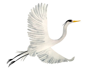 Watercolor bird, japonese bird white, isoleted