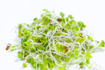 Young green radish microgreen sprouts with roots close up, grown for food. Concept of growing greens for healthy eating, vegetarianism, wholesome foods and veganism.