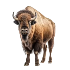Deurstickers Buffel Bison transparent background, png
