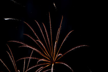 Bright fireworks on night sky