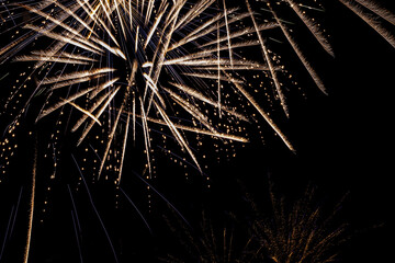 Bright fireworks on night sky