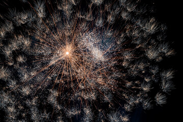 Bright fireworks on night sky