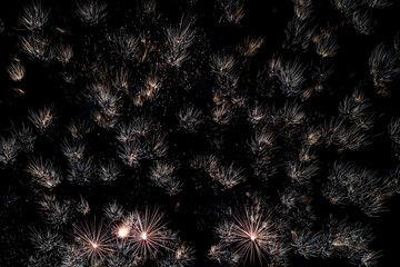 Bright fireworks on night sky