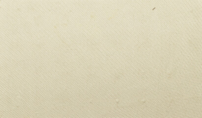 texture of natural plant fiber and color