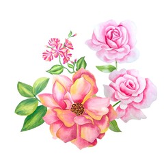 Bouquet and pink flowers, watercolor handmade, white background, isolated, green foliages