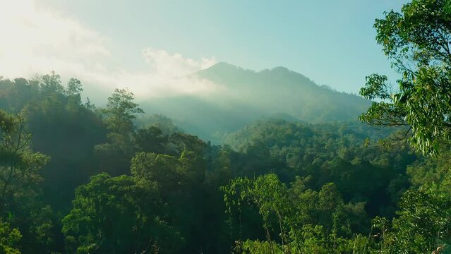 Foggy landscape tropical rain forest jungle island Bali on background majestic volcano Gunung Agung or Mount Agung, located in the district of Karangasem. 4K Aerial view