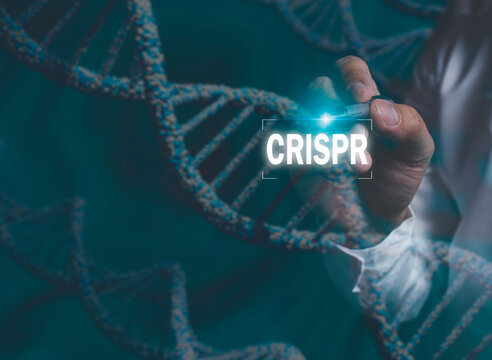 Scientist using pen touch icon CRISPR, genetically modified DNA, blue background concept in artificial intelligence. development of genetically modified human genes