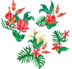 Gordijnen Watercolor Bouquet of flowers, isolated, white background, red tropical flowers and green leaves © Leticia Back