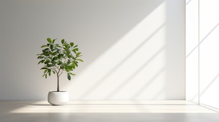 A potted plant sitting in a white room. Generative AI.