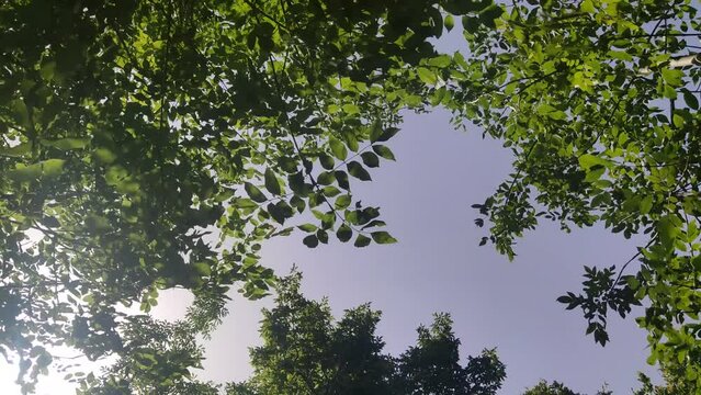 La combinazione tra la calda luce solare e la fresca brezza rende l'atmosfera perfetta per avventurarsi in attivit&agrave; all'aperto come escursioni, arrampicate o semplicemente per godersi la natura